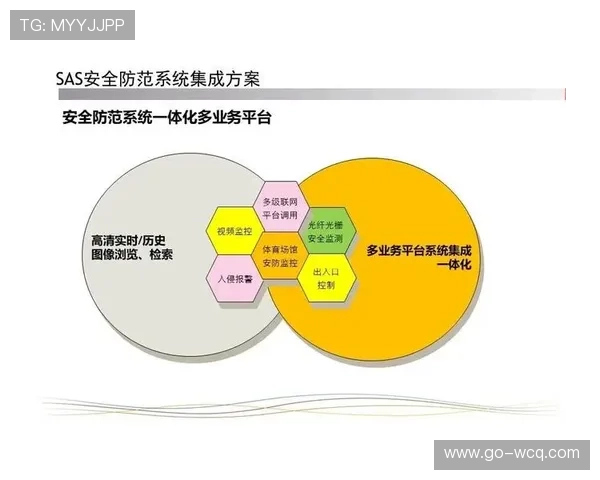 智能内容标签系统投入使用，体育素材检索效率大幅提升